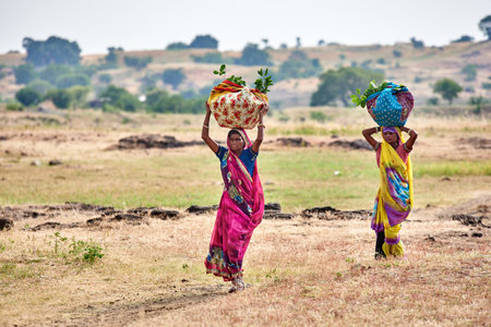 Unidentified local women with a basket of green tea on her head.