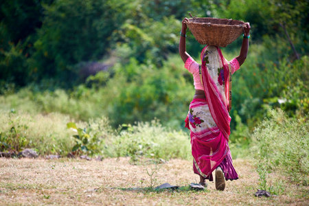 Woman carrying a basket on her head in a rural area of Indiaのeditorial素材
