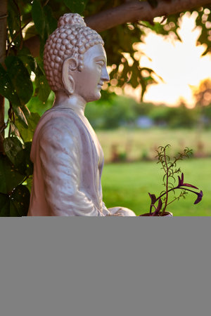 Buddha statue in the garden at sunset time. Thailand.のeditorial素材