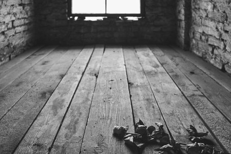 Old room with brick walls and wooden floor. Black and white photo.