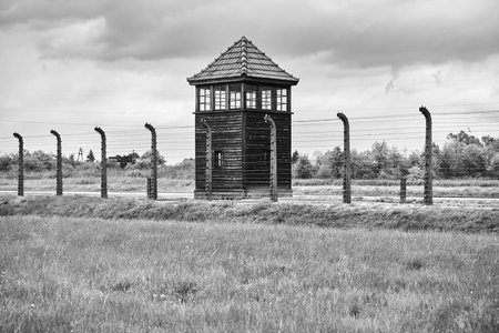 Wooden watchtower in the field. Black and white photo.