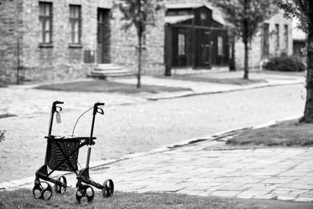 Black and white image of a toy cart in the park. Black and white photo.のeditorial素材