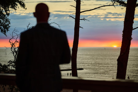 Person silhouette dramatic sunset sea trees contemplative peaceful natural landscape seascape...