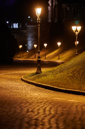 Close-up of a single streetlamp with curved cobblestone path and shallow depth at night in Szczecin, Polandの写真素材