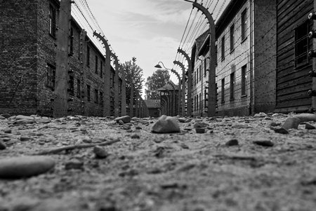 Low angle view of electrified fence at Auschwitzのeditorial素材