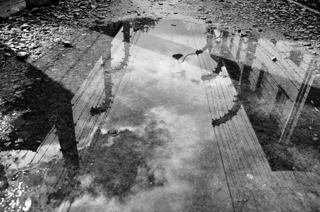 Reflection of Auschwitz camp fence in a water puddleのeditorial素材