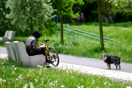 A man sitting on a park bench reading a book next to his bicycle while a small dog stands on the...
