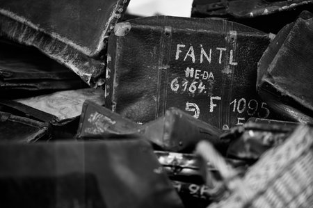 Old leather suitcases with painted names of deported victims