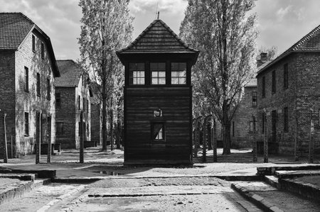 Central wooden guard tower between brick barracks in Auschwitz