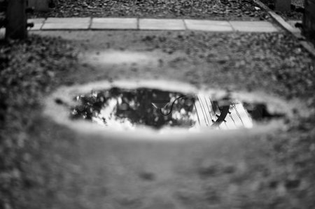 Small puddle reflecting the sky and fence at Auschwitz camp.