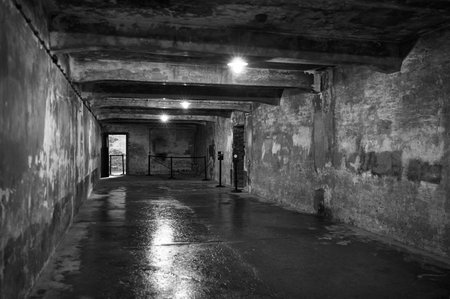 Gas chamber interior with lights at Auschwitz concentration campのeditorial素材