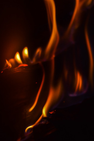 red wood flamesの写真素材