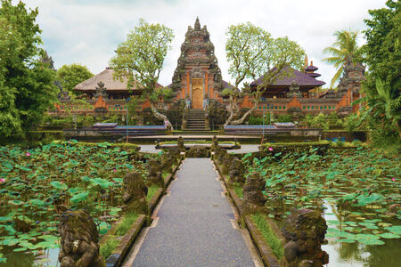 Ubud temple lotus bathの写真素材