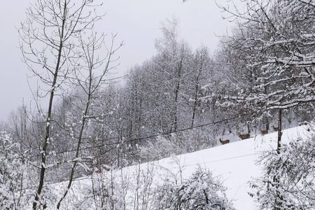 holiday at the foot of Mont Blanc in winter in the Chamonix Valley, Franceの写真素材