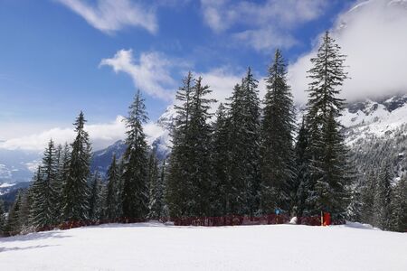 holiday at the foot of Mont Blanc in winter in the Chamonix Valley, Franceの写真素材