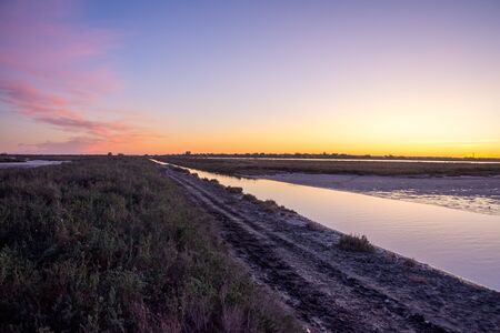 landscape of Camargues in the south of France. Ornithological nature reserveの写真素材