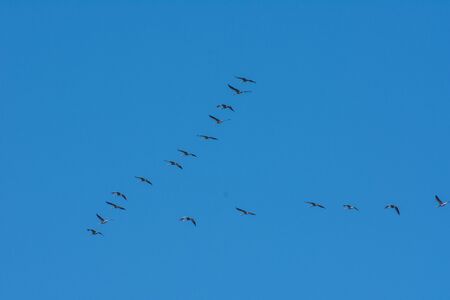 landscape of Camargues in the south of France. Ornithological nature reserveの写真素材