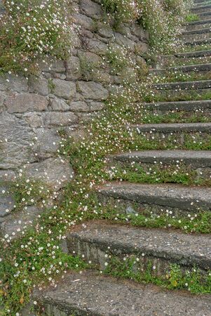 a landscape of Brittany in summer, France. sea, color of this region in summer
