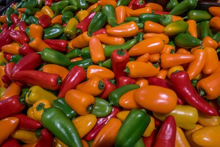 vegetables and condiments made of peppers and multicolored peppers on a stallの写真素材