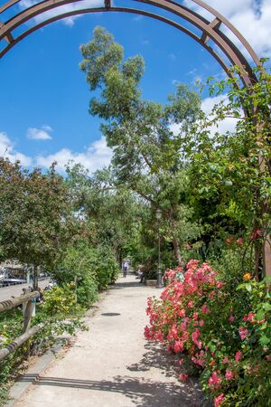discovery of Paris and the banks of the Seine in summer, Franceの写真素材