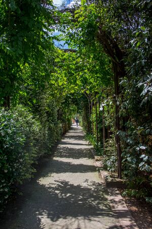 discovery of Paris and the banks of the Seine in summer, Franceの写真素材