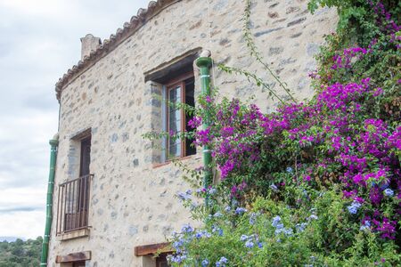 discovery of the eastern Pyrenes, its fauna and flora, region of Franceの写真素材