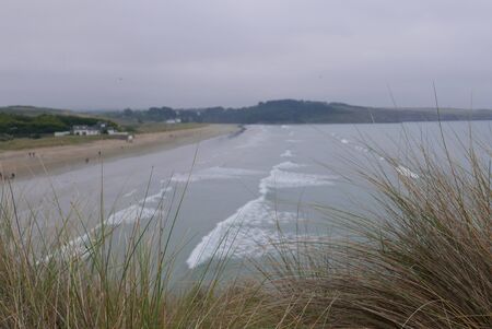 walk in the Brittany countryside in Finistere, France.discovery of the flora and fauna of the...