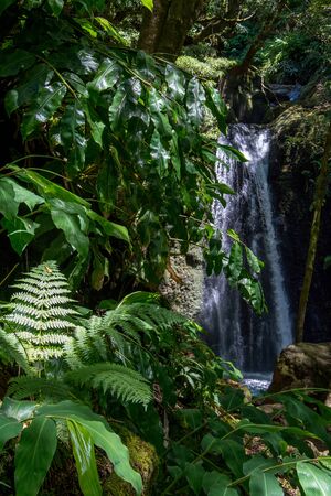 walk and discover the prego salto waterfall on the island of sao miguel, azores, Portugal.