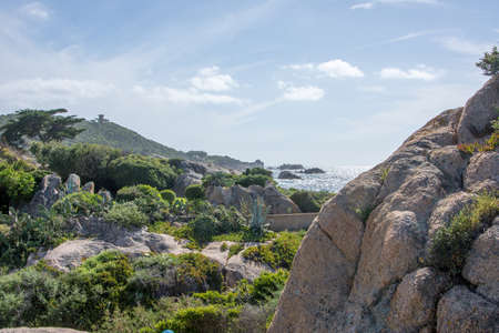 discovery of the island of beauty in southern Corsica in May, Franceの写真素材