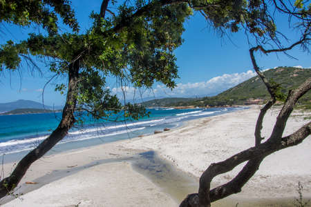 discovery of the island of beauty in southern Corsica in May, Franceの写真素材