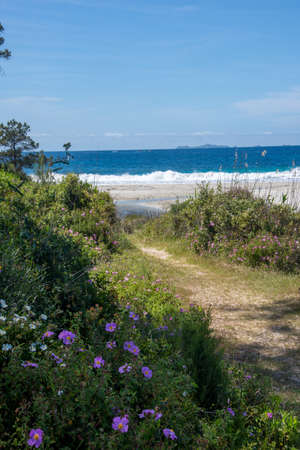 discovery of the island of beauty in southern Corsica in May, Franceの写真素材