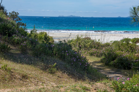 discovery of the island of beauty in southern Corsica in May, Franceの写真素材