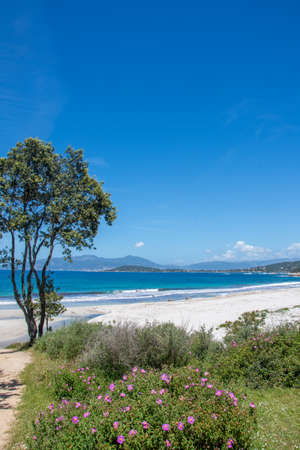 discovery of the island of beauty in southern Corsica in May, Franceの写真素材