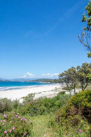 discovery of the island of beauty in southern Corsica in May, Franceの写真素材