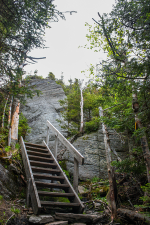stairway in a hiking trail in mont suttonの写真素材