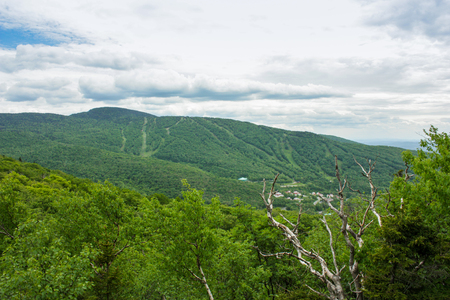 mont sutton in quebec in the summerの写真素材