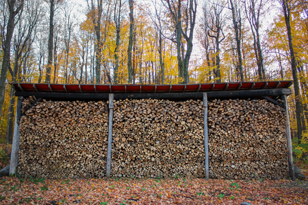 piles of wood in preparation for winterの写真素材