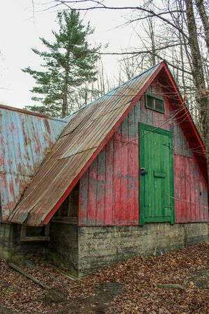 abandoned farm in the forestの写真素材