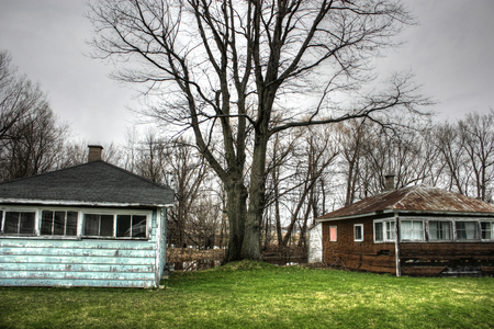two old house and a big treeの写真素材