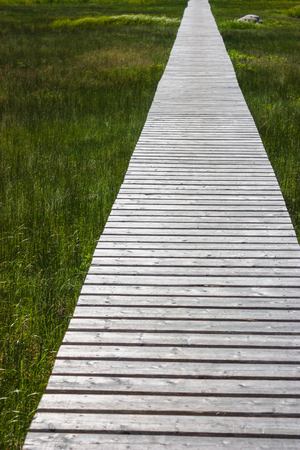 long wooden bridge/path on green grassの写真素材