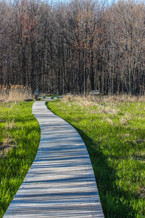 wooden pathway in a fieldの写真素材