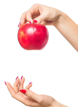 Apple in hand. Time for healthy eating, for vitamins.の写真素材
