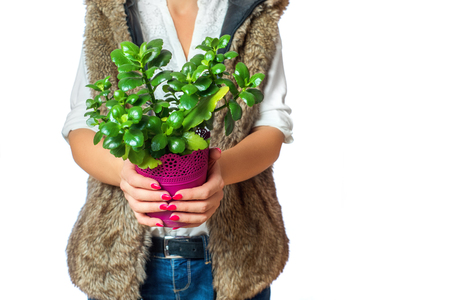 A woman holds a flower pot in her hand.の写真素材