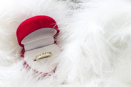 Happy Valentine's day. Gift box with red heart and wedding rings on among the feathers