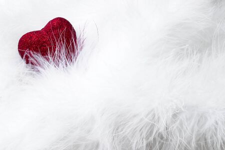 Happy Valentine's day. Red heart among the white feathersの写真素材