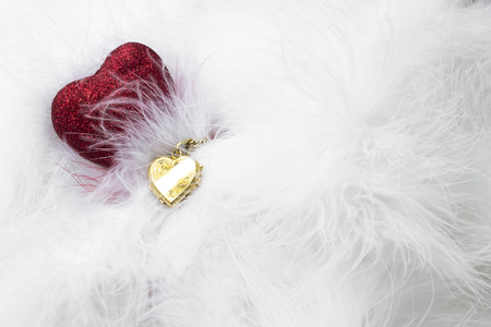 Happy Valentine's day. Red heart and gold necklace among the white feathersの写真素材