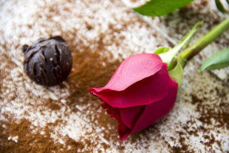 Red rose and truffle on wooden. Valentine's dayの写真素材