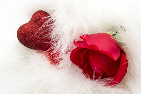 Happy Valentine's day. Red rose and heart among the white feathersの写真素材