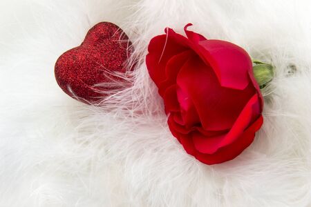 Happy Valentine's day. Red rose and heart among the white feathersの写真素材