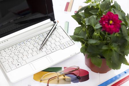 Business concept in the office. Laptop, graphic and flower in flowerpotの写真素材